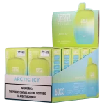 Arctic Icy FLUM Pebble 2