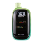 Cool Mint FLUM Mello