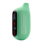 Miami Mint FLONQ Max Pro ZERO